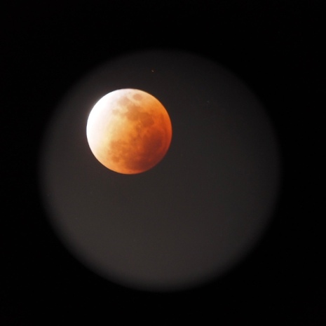 Photo of the Blood Moon taken through the telescope
