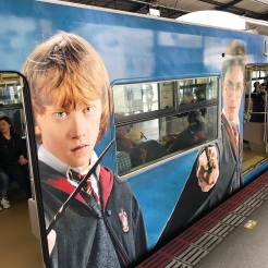 Harry Potter Train